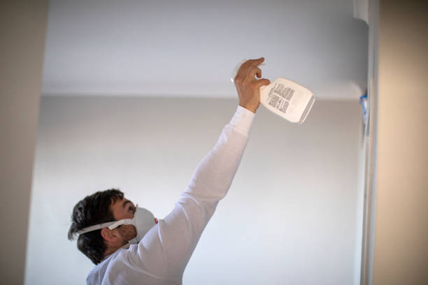 Best Mold Damage Repair  in Hawthorne, NJ