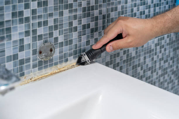 Best Fast Mold Removal  in Hawthorne, NJ