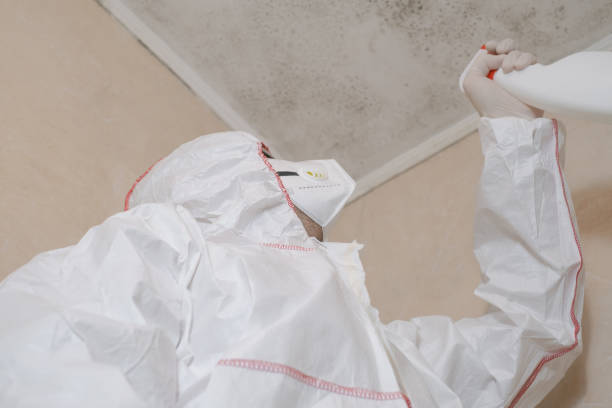 Best Commercial Mold Removal  in Hawthorne, NJ