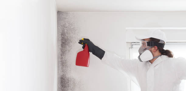 Best Fast Mold Removal  in Hawthorne, NJ